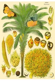 Madame Treacle Karnet B6 brokat z kopert� Natura 5