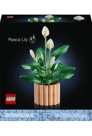 LEGO Botanicals Skrzyd�okwiat 11504
