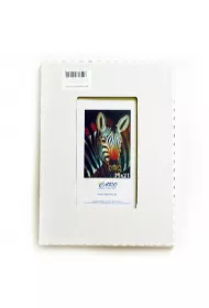Antyrama plexi 15x21cm