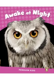 PEKR Awake at Night (2) CLIL