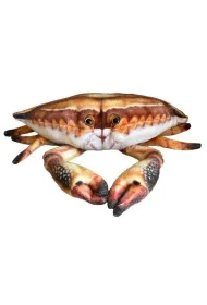 Krab 31cm Dubi