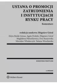 eBook Ustawa o promocji zatrudnienia i instytucjach rynku pracy. Komentarz pdf epub