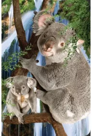 Worth Keeping Mini kartka 3D Koala