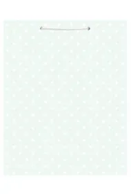 Torba prezentowa Party 17,9x22,5x10cm STRIGO