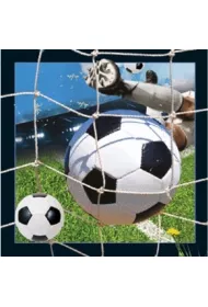 Worth Keeping Magnes 3D Pi�ka no�na