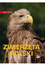 Nasza Polska. Zwierz�ta Polski