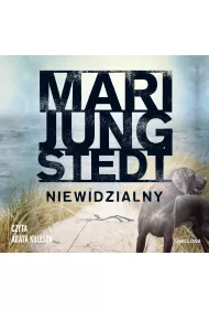 Audiobook Niewidzialny. Inspektor Anders Knutas. Tom 1 mp3