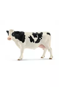 Krowa rasy Holstein