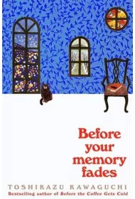 Before Your Memory Fades