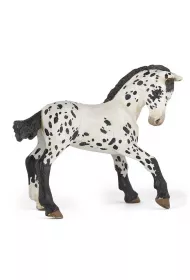 �rebi� Appaloosa
