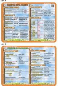 Visual System Podkadka edukacyjna Gramatyka i ortografia jzyka polskiego
