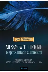 Niesamowite historie o spotkaniach z anio�ami