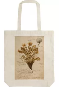 Skona Ting Torba bawe�niana STBAG36 Anno 1550 Shopperka