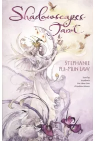 Shadowscapes Tarot, karty do wrenia i ksika