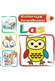 Koloruj kredkami. Las