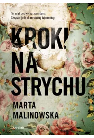 Kroki na strychu