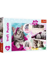 Puzzle 160 el. Urocze kotki Trefl