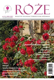 R�e