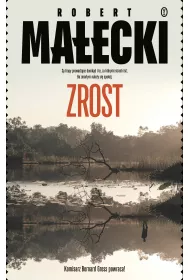 eBook Zrost. Bernard Gross. Tom 4 mobi epub