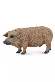 �winia w�gierska Mangalica