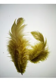 Pi�rka 10g