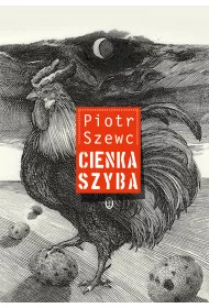 Cienka szyba