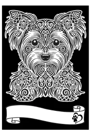 Kolorowanka Welwetowa A4 Yorkshire Terrier