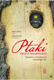 Ptaki Puszczy Biaowieskiej. Opowieci o mieszkacach niezwykego lasu