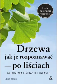 Drzewa &ndash; jak je rozpoznawa� po li�ciach