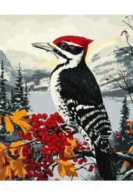 Ideyka Malowanie po numerach - Dzi�cio� na ga��zi 40x50cm