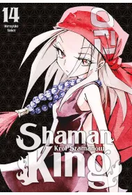 Shaman King #14