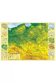 Derform Podk�ad oklejany - Polska fizyczna