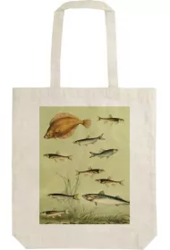 Torba baweniana STBAG 64 Nordyckie ryby Szoperka