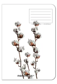 Narcissus Zeszyt A4 PP Fun Cotton kratka 60 kartek 4 szt.