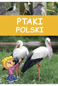 eBook Ptaki Polski pdf
