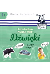 Karty obrazkowe. Poznaj� �wiat. D�wi�ki