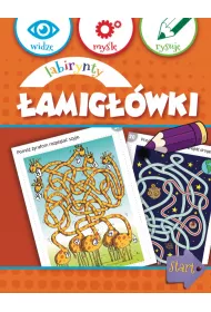 eBook Labirynty. �amig��wki pdf