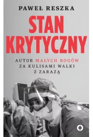 Stan krytyczny