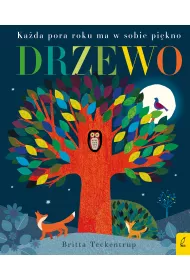 Drzewo