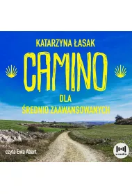 Audiobook Camino dla rednio zaawansowanych. Wszystko co chcesz wiedzie o drodze w. Jakuba, ale nie masz kogo zapyta mp3
