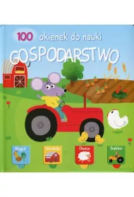 100 okienek gospodarstwo