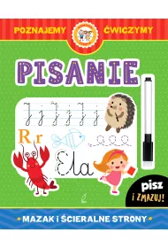 Pisanie mazak i �cieralne strony