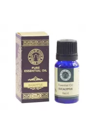 Song Of India Olejek esencjonalny 10 ml - Eucalyptus