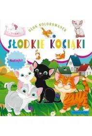 Blok kolorowanek. S�odkie kociaki