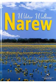 Narew