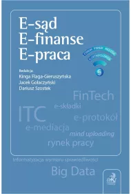 eBook E-sd. E-finanse. E-praca pdf