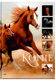 Konie