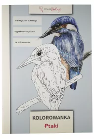 Kolorowanka Ptaki
