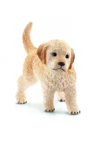 Szczeni� Golden Retriever