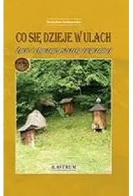 Co si� dzieje w ulach